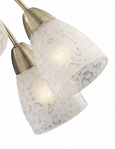 Подвесная люстра Odeon Light Mariot 2541/8