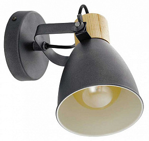 Светильник на штанге Eglo COSWARTH 901174