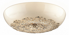 Накладной светильник Odeon Light Palmira 2677/8C