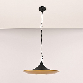 Подвесной светильник Imperiumloft  Rask01