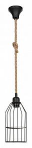 Подвесной светильник TopLight Alfreda TL1601H-01BK