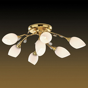 Потолочная люстра Odeon Light Fiera 1604/7