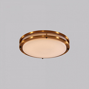 Накладной светильник Citilux Бостон CL709253