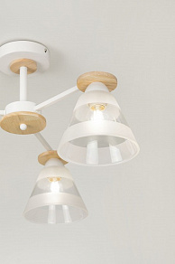 Люстра на штанге Rivoli Theothila Б0068434