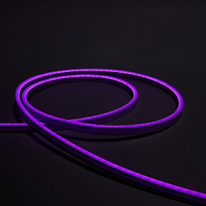 Шнур световой Eleganz  EL-N24-96PR