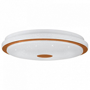 Накладной светильник Eglo Lanciano 1 900598