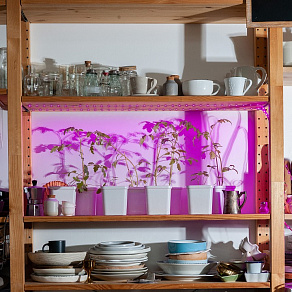 Комплект с лентой светодиодной Uniel ULS-P76 UL-00004101