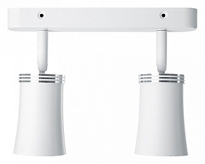 Спот Feron Barre 41482