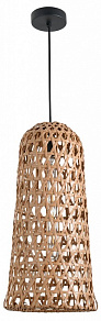 Подвесной светильник Favourite Recinto 4888-1P