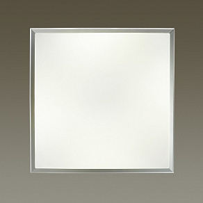 Накладной светильник Odeon Light Bernar 4624/48CL