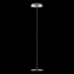 Торшер ST-Luce Lacio SL6002.405.01