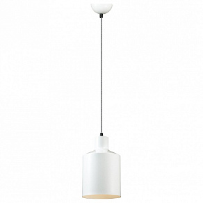 Подвесной светильник Lumion Rigby 3694/1