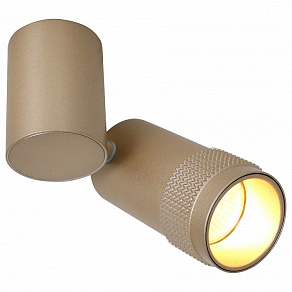 Спот Favourite Kinescope 2455-1U