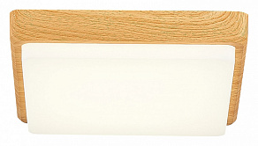 Накладной светильник EVOLUCE Taddio SLE200202-01