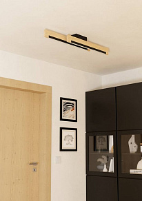 Накладной светильник Eglo CAMACHO 901736