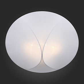 Накладной светильник ST-Luce Tonico SL360.552.04
