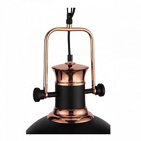 Подвесной светильник ST-Luce Lanterio SL404.403.01