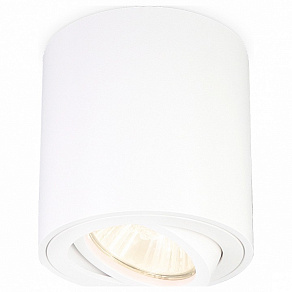 Накладной светильник Ambrella TN TN22701