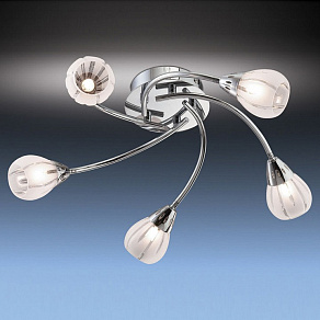 Потолочная люстра Odeon Light Posi 1613/5C
