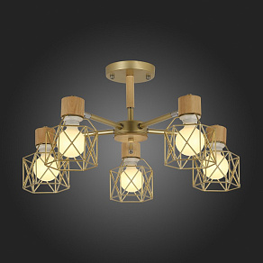 Люстра на штанге EVOLUCE Stelitto SLE110402-05