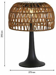 Настольная лампа декоративная Favourite Assolato 4833-1T