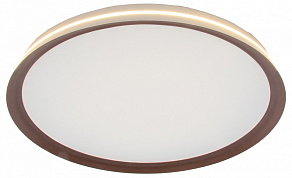 Накладной светильник Mizi`en Titan MZ31502-640