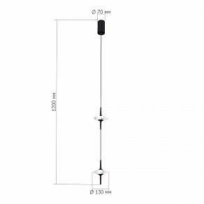 Подвесной светильник ST-Luce Zenith SL6231.403.02