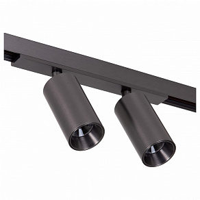 Светильник на штанге Lucide Linial 55901/16/08