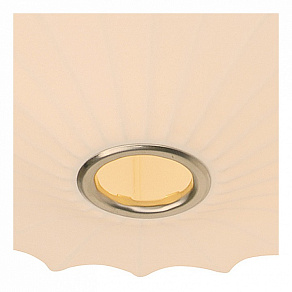 Накладной светильник Arte Lamp Cocoon A6090PL-2WH