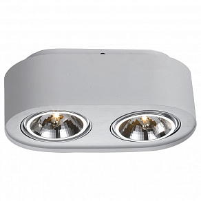 Накладной светильник Arte Lamp Cliff A5643PL-2WH