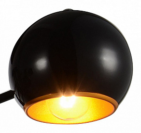 Потолочная люстра ST-Luce SL854 SL854.242.06