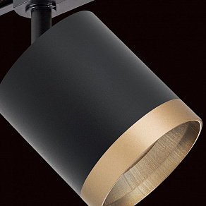 Светильник на штанге Lightstar Rullo R1T348790