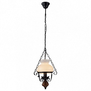 Подвесной светильник Arte Lamp Joy A3030SP-1BR