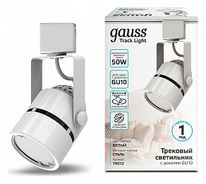 Светильник на штанге Gauss TR TR012
