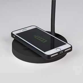 Настольная лампа офисная Elektrostandard Tiara a048743