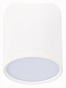 Накладной светильник ST-Luce Rene ST113.542.05