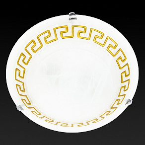 Накладной светильник TopLight Gien TL9171Y-02BN
