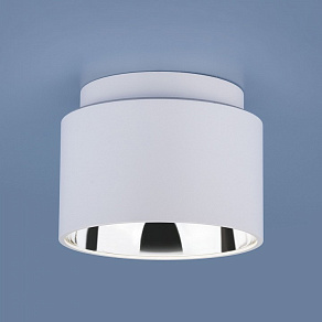 Накладной светильник Elektrostandard Charlie 1069 GX53