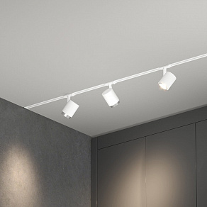 Светильник на штанге Elektrostandard Cors 85513/01