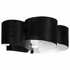 Потолочная люстра Lightstar Pittore 811057