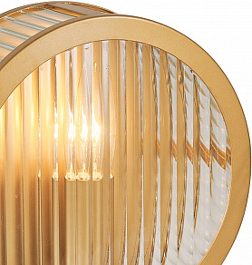 Накладной светильник Favourite Radiales 3099-1W