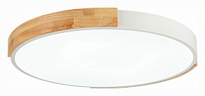 Накладной светильник EVOLUCE Delia SLE201352-01