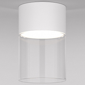 Накладной светильник Elektrostandard Lumen a064710