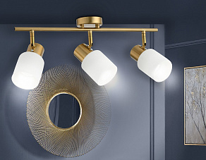 Спот Ambrella TR TR3972