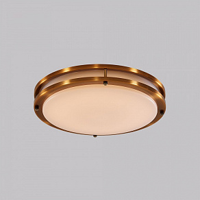 Накладной светильник Citilux Бостон CL709403