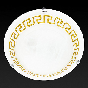 Накладной светильник TopLight Gien TL9172Y-03BN