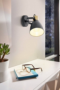 Светильник на штанге Eglo COSWARTH 901174