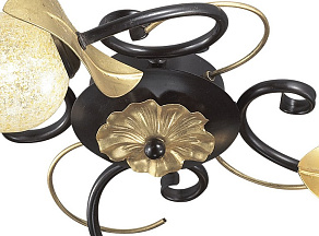 Потолочная люстра Odeon Light Anaba 2691/4C