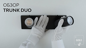 Спот 6063 Trunk Duo 1030801