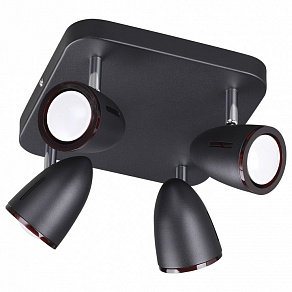 Спот Odeon Light Reanna 3824/4C